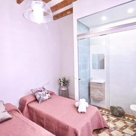 Appartement Grande Y Luminoso En El Centro De